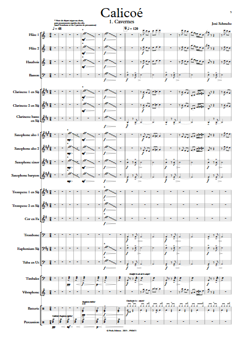 Calicoé - Orchestre d'Harmonie - SCHMELTZ J. - app.scorescoreTitle