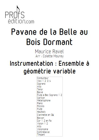 Pavane de la belle au bois dormant – Ensemble à Géométrie Variable - RAVEL M. - front page