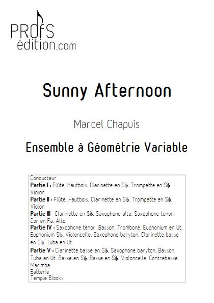 Sunny Afternoon - Ensemble Variable - CHAPUIS M. - front page