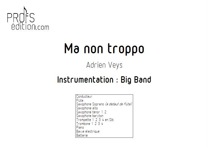 Ma non troppo - Big Band - VEYS A. - front page